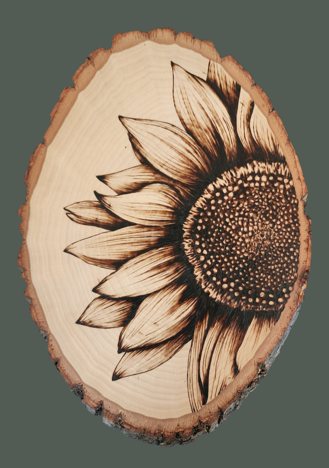 Sunflower Pyrography