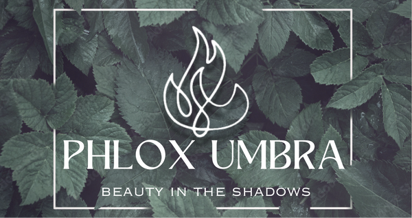 Phlox Umbra 