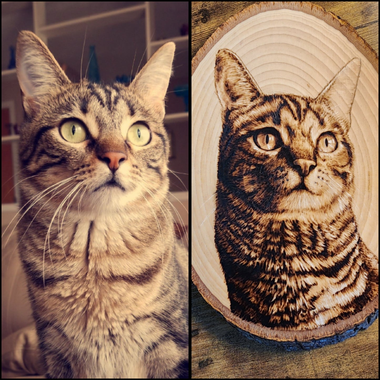 Custom Pet Portrait